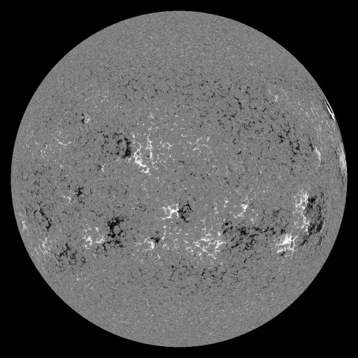 Solar Magnetic Fields