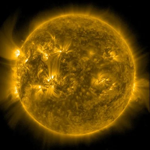 Solar Corona