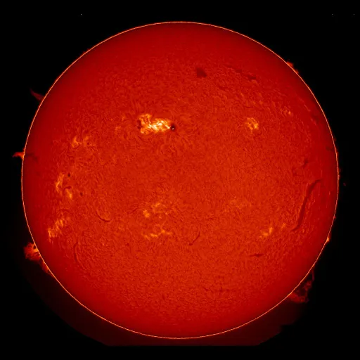 Solar Chromosphere