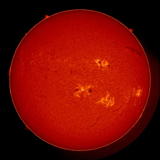 Solar Chromosphere