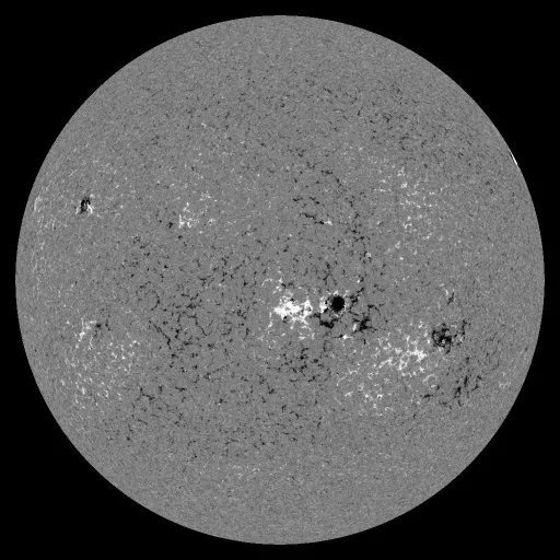 Solar Magnetic Fields