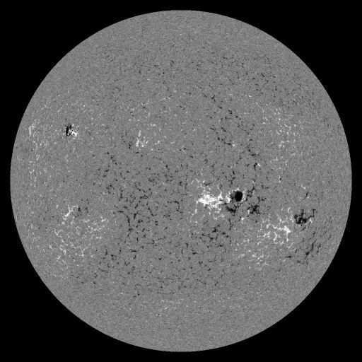 Solar Magnetic Fields