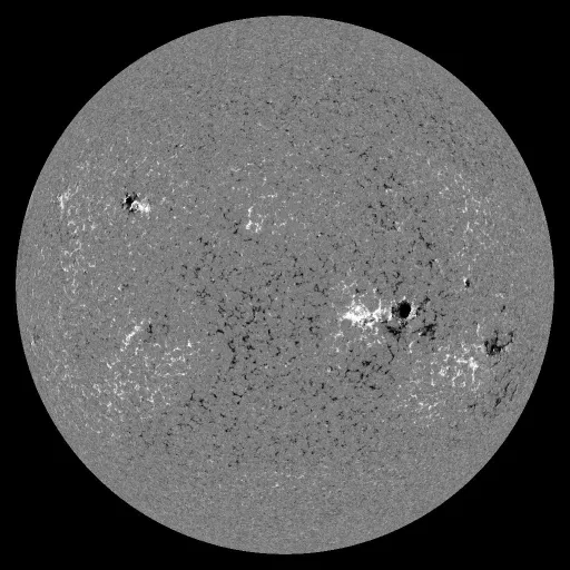 Solar Magnetic Fields
