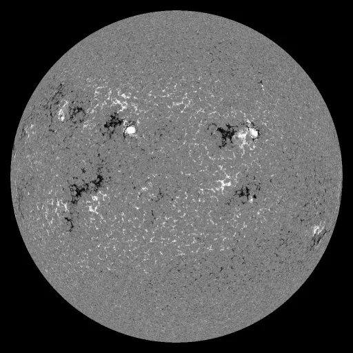 Solar Magnetic Fields