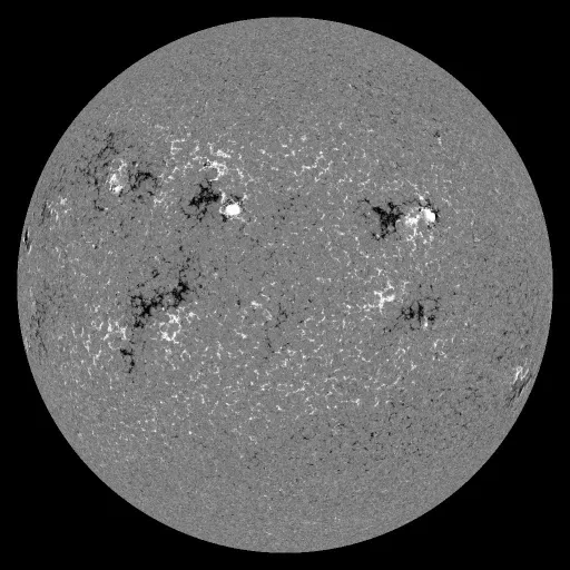 Solar Magnetic Fields