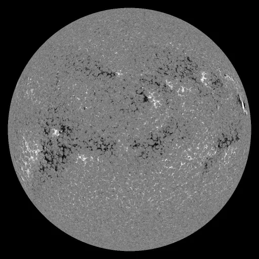 Solar Magnetic Fields