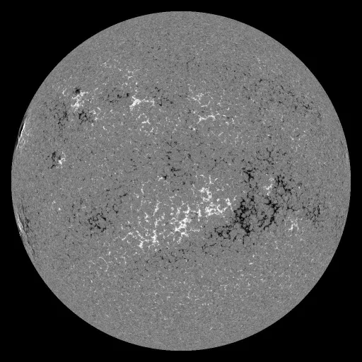 Solar Magnetic Fields