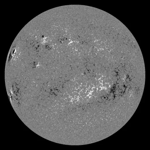 Solar Magnetic Fields