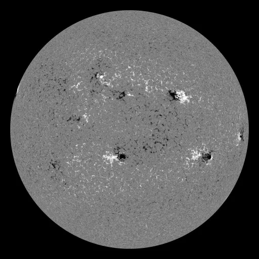 Solar Magnetic Fields