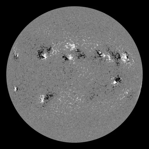 Solar Magnetic Fields