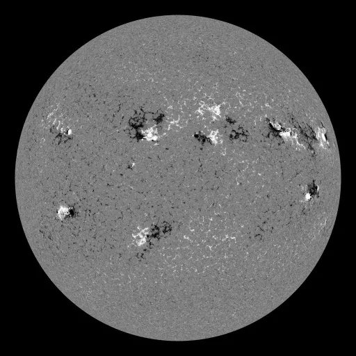 Solar Magnetic Fields