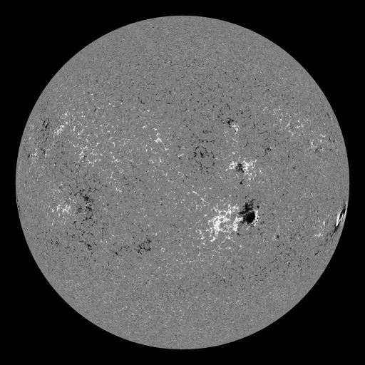Solar Magnetic Fields
