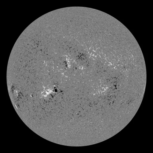 Solar Magnetic Fields