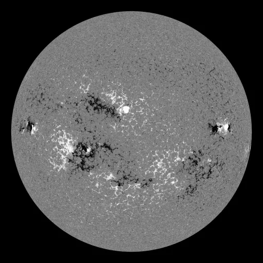 Solar Magnetic Fields