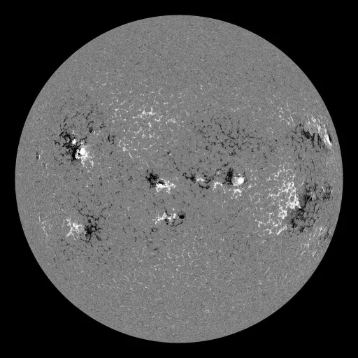 Solar Magnetic Fields