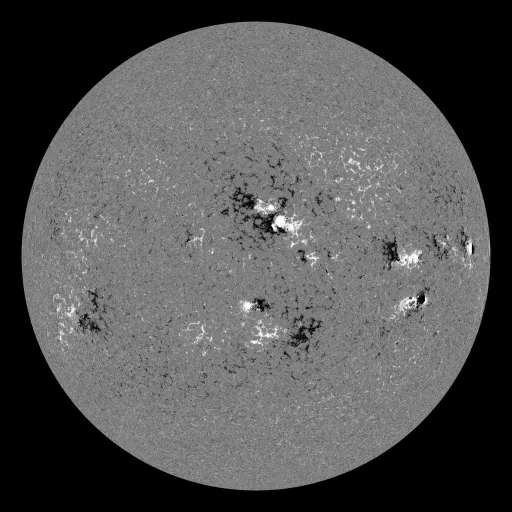 Solar Magnetic Fields