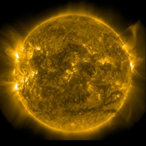 Image of Sun's corona