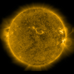 Image of Sun's corona