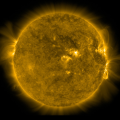 Image of Sun's corona