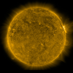 Image of Sun's corona