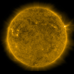 Image of Sun's corona