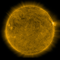 Image of Sun's corona