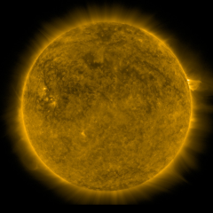 Image of Sun's corona