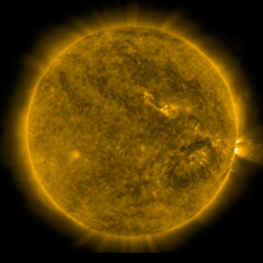 Image of Sun's corona