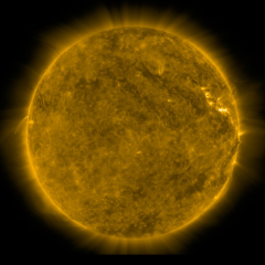 Image of Sun's corona