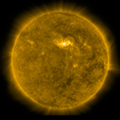 Image of Sun's corona