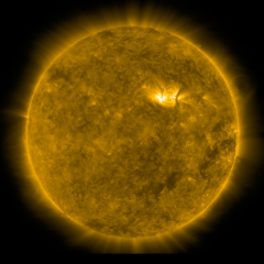 Image of Sun's corona