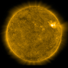 Image of Sun's corona