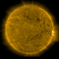 Image of Sun's corona