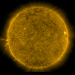 Image of Sun's corona