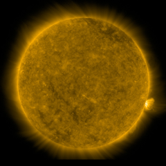 Image of Sun's corona