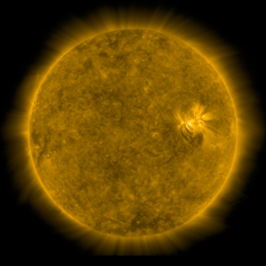 Image of Sun's corona