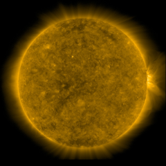 Image of Sun's corona