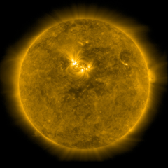 Image of Sun's corona