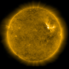 Image of Sun's corona