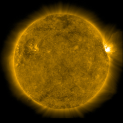 Image of Sun's corona