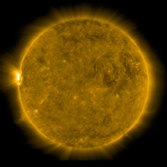 Image of Sun's corona