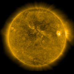 Image of Sun's corona