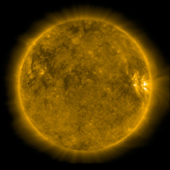 Image of Sun's corona