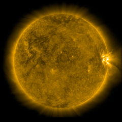 Image of Sun's corona