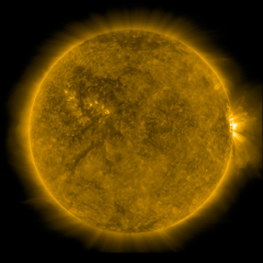 Image of Sun's corona