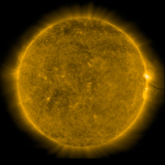 Image of Sun's corona