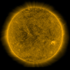 Image of Sun's corona