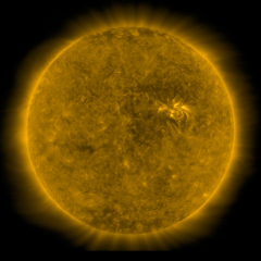 Image of Sun's corona