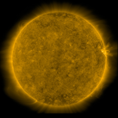 Image of Sun's corona