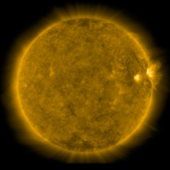 Image of Sun's corona